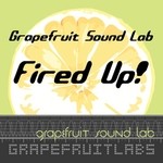 cover: Grapefruit Sound Lab|Obama & Childs - Fired Up