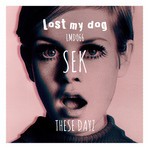 cover: Sek - These Dayz