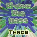 cover: Chicksdigbass - Throb