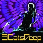 cover: 3catsdeep - 3CatsDeep EP