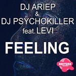 cover: Dj Ariep|Levi - Feeling