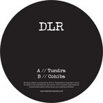 cover: Dlr - Tundra