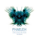 cover: Phaeleh - The Cold In You