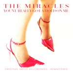 cover: The Miracles - You've Really Got A Hold On Me