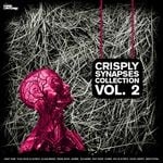 cover: Various - Crisply Synapses Collection Volume 2