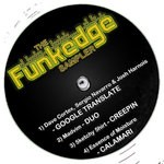 cover: 5ketchy 5hirt|Cortex, Dave|Essence Of Moisture|Josh Harnois|Madvim|Sergio Navarro - The Funkedge Sampler