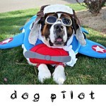 cover: Dog Pilot - Landing Strip