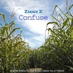 cover: Ziggy Z - Confuse