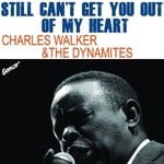 cover: The Dynamites|Walker, Charles - Still Can't Get You Out Of My Heart