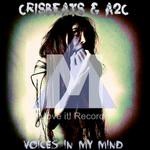 cover: Crisbeats|A2c - Voices In My Mind