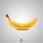 cover: Various - Still Fresh 2013