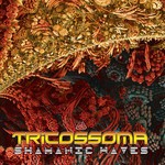 cover: Tricossoma - Shamanic Waves