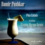 cover: Damir Pushkar - Pina Colada