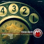 cover: Tolga Diler - I Hear You Calling