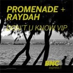 cover: Promenade & Raydah - Dont U Know