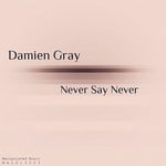 cover: Damien Gray - Manipulated Loops 03