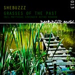 cover: Shebuzzz - Grasses Of The Past