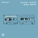 cover: Dump - Secret Blood