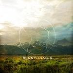 cover: Bunny On Acid - Bunny On Acid