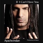 cover: Apache Indian - If I Can't Have You