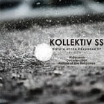 cover: Kollektiv Ss - Nature Of The Response