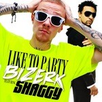 cover: Bizerk|Shaggy - Like To Party