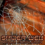 cover: Various - Spider Web: House Compilation