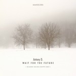 cover: Antony D - Wait For The Future