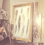 cover: Various - Feathers