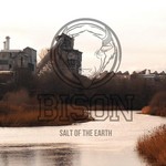 cover: Bison - Salt Of The Earth