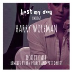 cover: Harry Wolfman - Booty Call