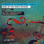 cover: Dj Slater|Flippers|U Prag - King Of The Night (remixes)