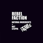 cover: Rebel Faction - Hot Steppa