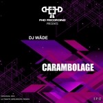 cover: Dj WÃƒÂ¤de - Carambolage