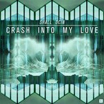 cover: Shall Ocin - Crash Into My Love