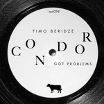 cover: Timo Beridze - Condor Got Problems