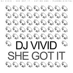 cover: Dj Vivid - She Got It