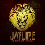 cover: Jayline - Do You Like Jungle LP