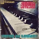 cover: Adam Jetrack - Noise In Lounge