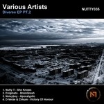 cover: Nutty T|Enigmato|Noisyboy|D-verze|Zirkum - Diverse EP Part 2