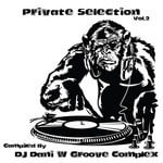 cover: Dj Dani W Groove Complex|Various - Private Selection Vol 2 (compiled by DJ Dani W Groove Complex)