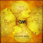 cover: Zabini & Palmas - Walking Mind