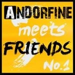 cover: Various - Andorfine Meets Friends No 1