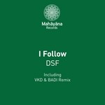 cover: Dsf - I Follow