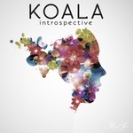 cover: Koala - Introspective