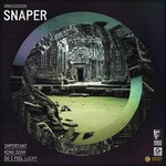 cover: Snaper - King Donk