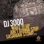 cover: Dj 3000 - Wake It Up