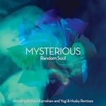 cover: Random Soul - Mysterious