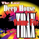 cover: Various - Lost Deep House Trax Volume 5