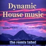 cover: Various - Dynamic Housemusic (Best Deeptech Meets Proghouse Music Tunes In Key-D)